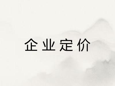 企业定价