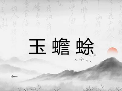 玉蟾蜍