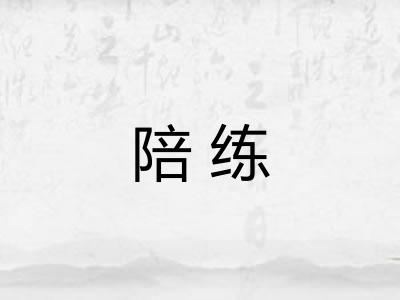 陪练