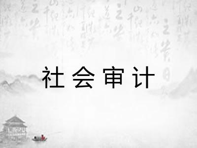 社会审计
