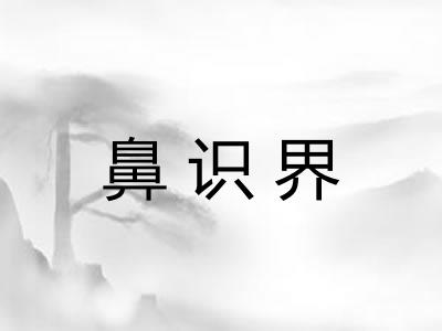 鼻识界