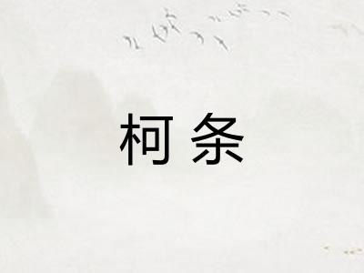 柯条
