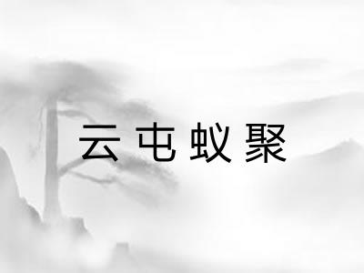 云屯蚁聚