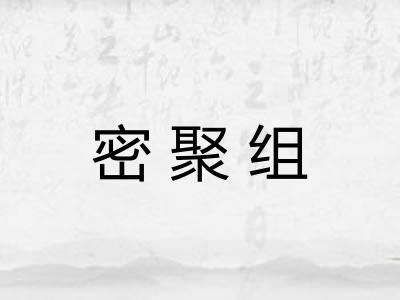 密聚组