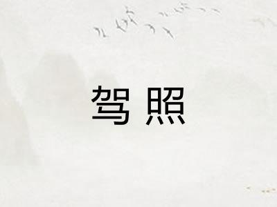 驾照
