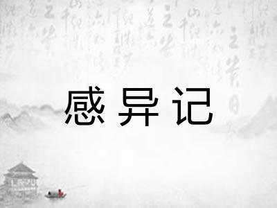 感异记