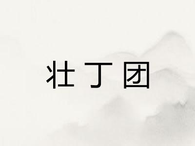壮丁团