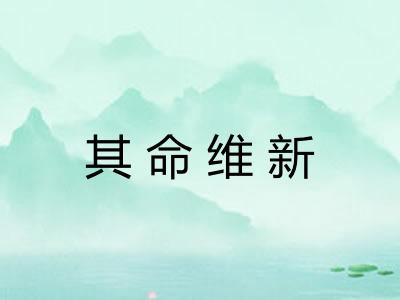 其命维新