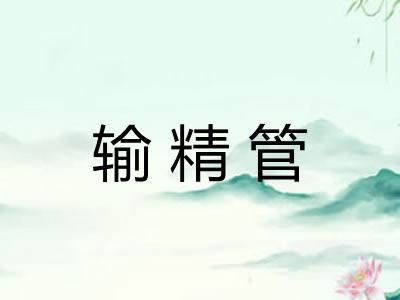 输精管