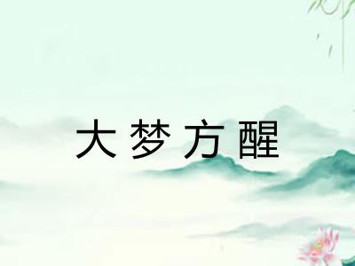 大梦方醒