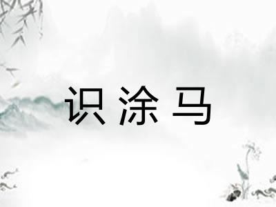 识涂马