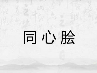 同心脍