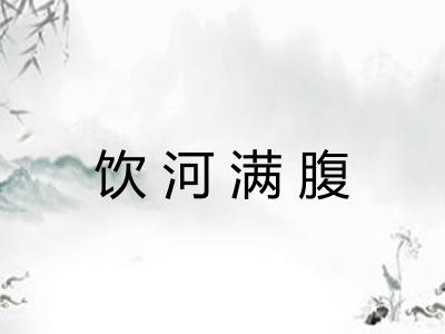 饮河满腹
