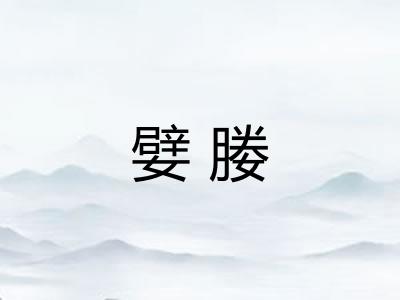 嬖媵