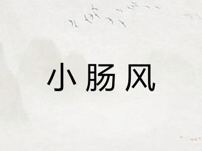 小肠风