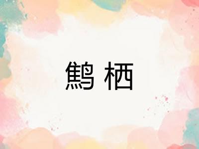 鹪栖
