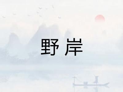 野岸