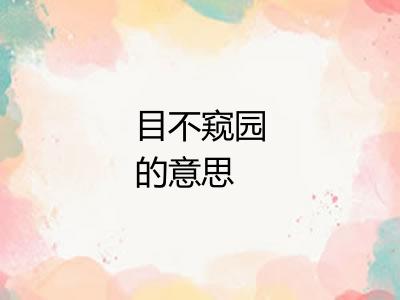 目不窥园的意思