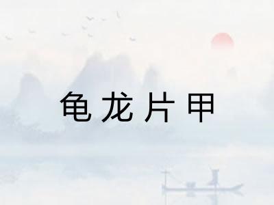 龟龙片甲
