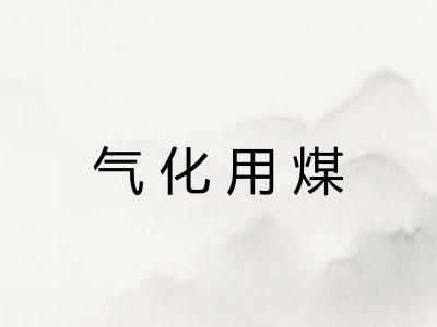 气化用煤