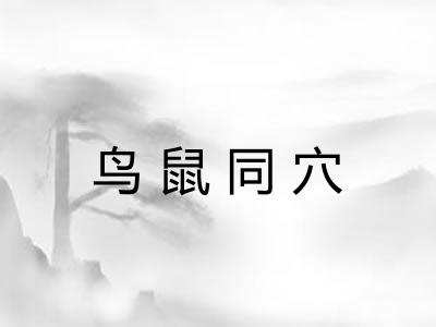 鸟鼠同穴