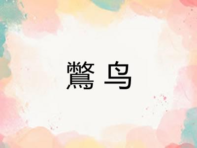 鷩鸟