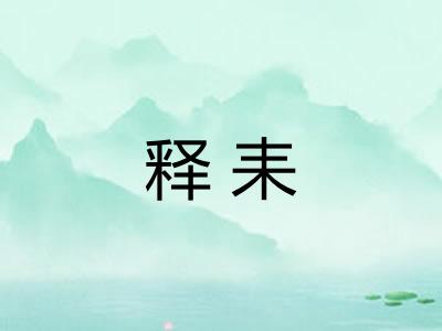 释耒