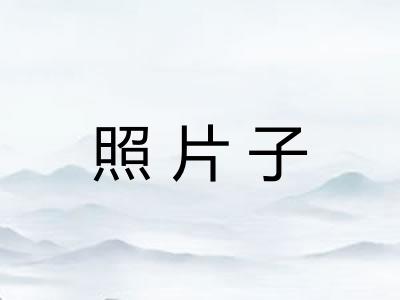 照片子