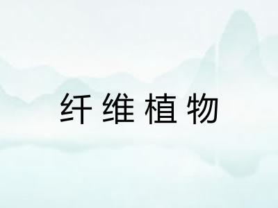 纤维植物