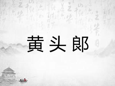 黄头郞
