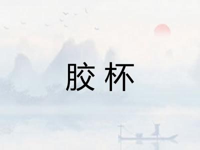 胶杯