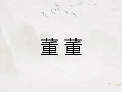 董董