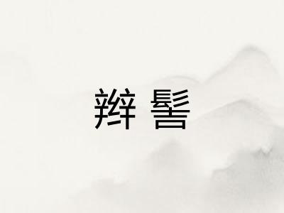 辫髻