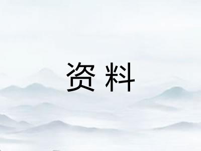 资料