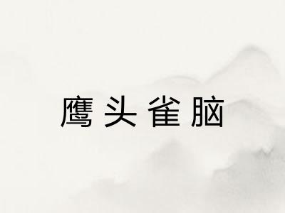 鹰头雀脑