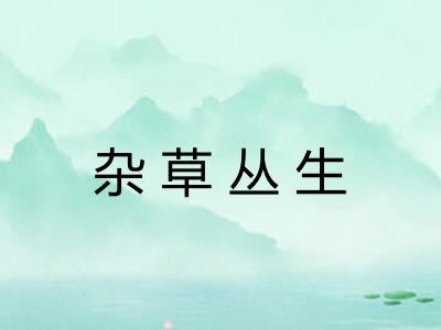 杂草丛生