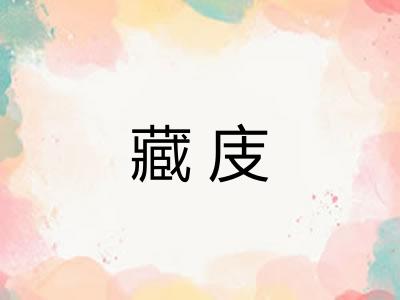 藏庋