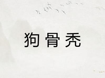 狗骨秃