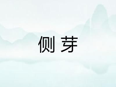 侧芽