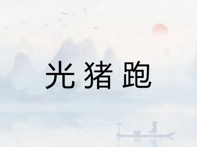 光猪跑