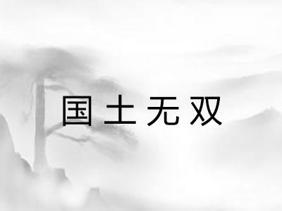 国土无双