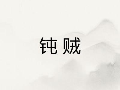 钝贼