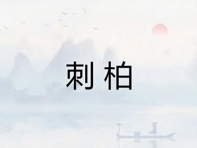 刺柏