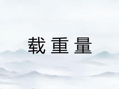 载重量