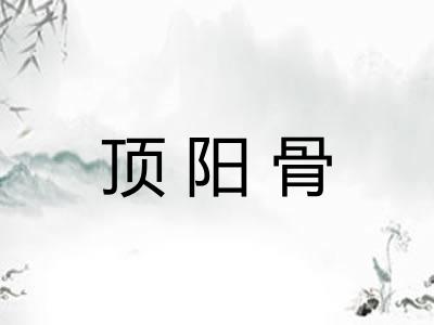 顶阳骨