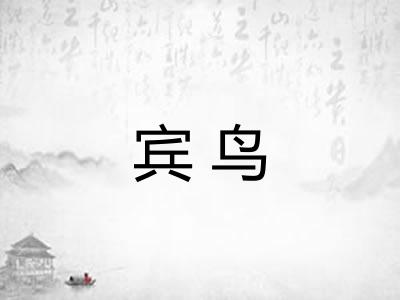 宾鸟