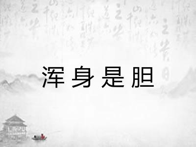 浑身是胆