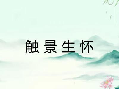 触景生怀