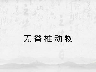 无脊椎动物