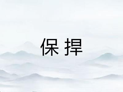 保捍